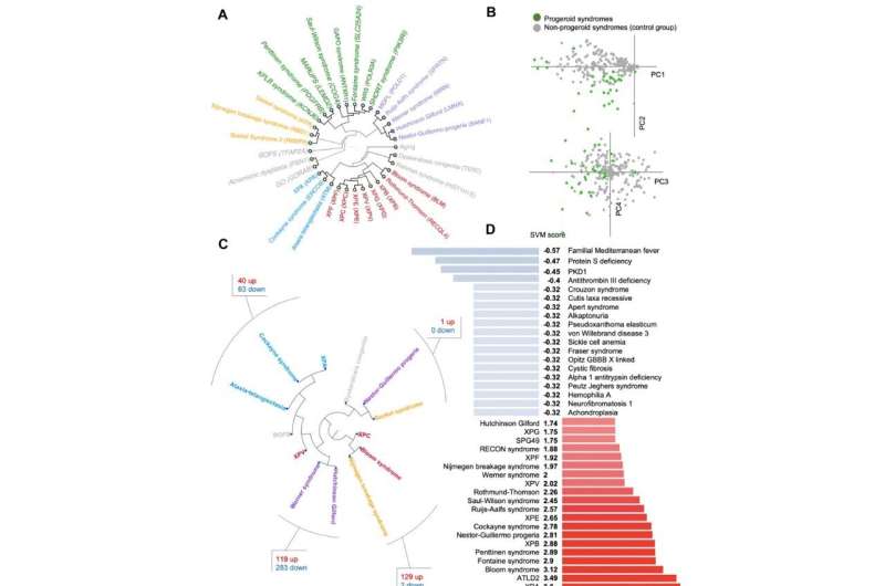 New study: Defining the progeria phenome