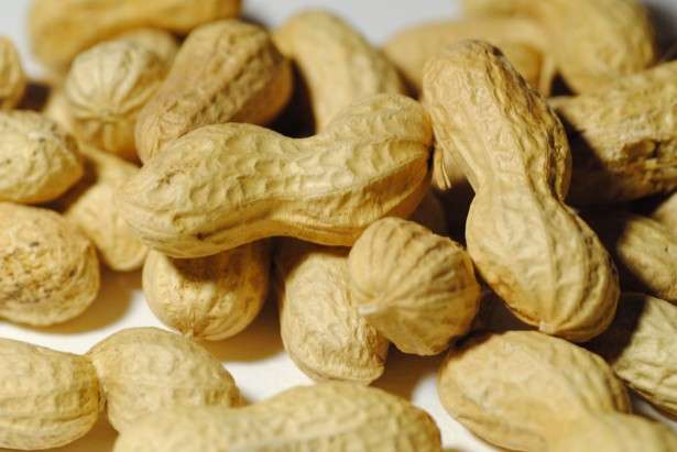 Researchers confirm early intervention curbs peanut allergies in babies 