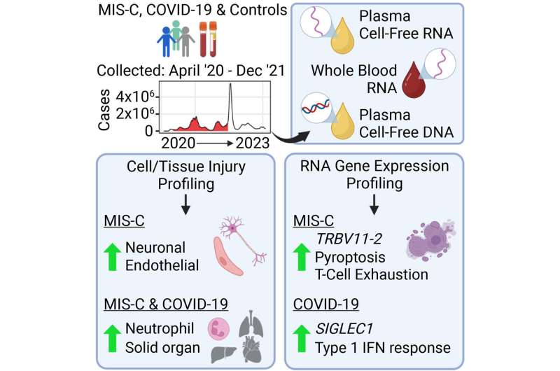 Researchers identify unique biomarker patterns identifying MIS-C and severe COVID in children 