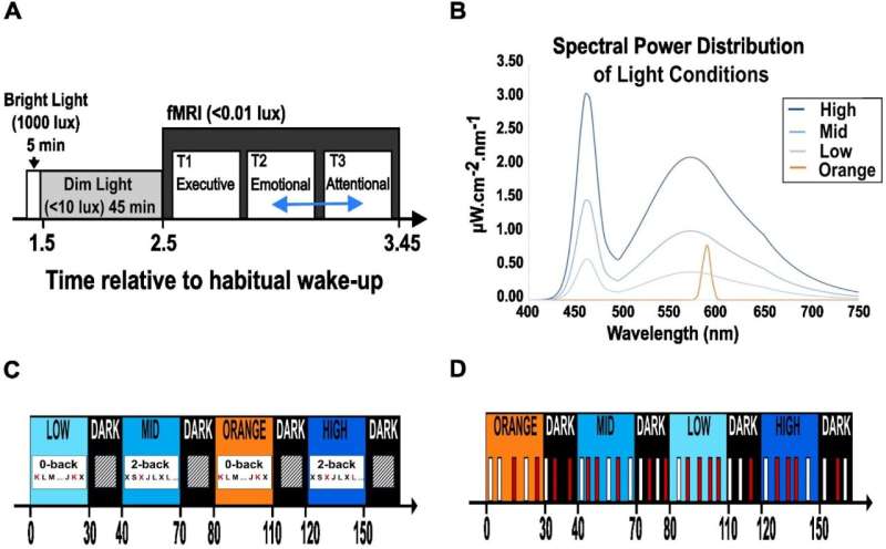 Higher light levels may improve cognitive performance