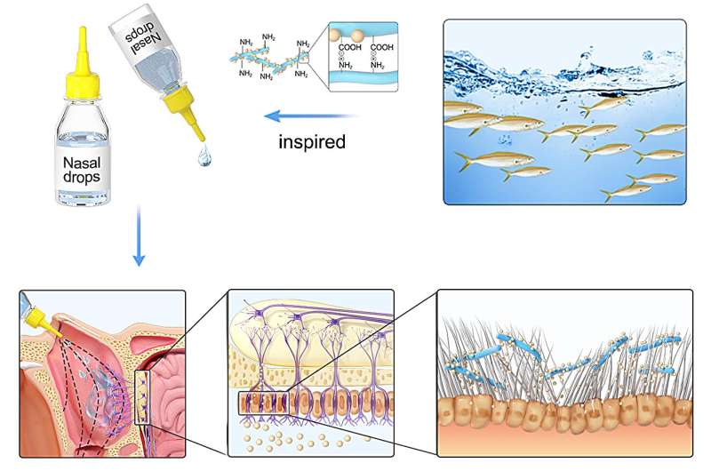 Swimming short fibrous nasal drops achieving intraventricular administration