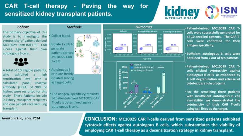 Could CAR-T cell therapy improve kidney transplants?