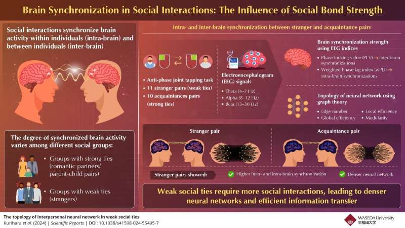 Charting brain synchronization patterns during social interactions