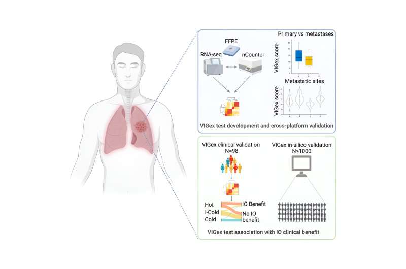 A pan-cancer platform to help guide patient selection for personalized immunotherapy 