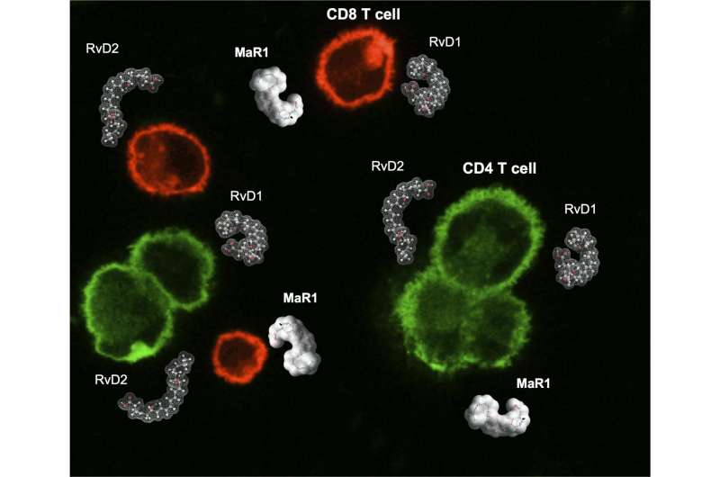 New class of molecules play key role in influencing the immune system