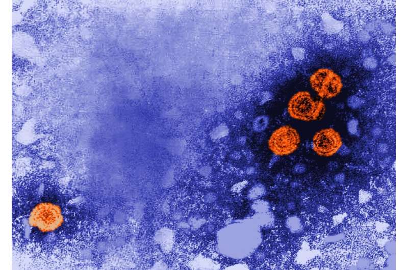 New combination therapy offers chance of healing hepatitis B 