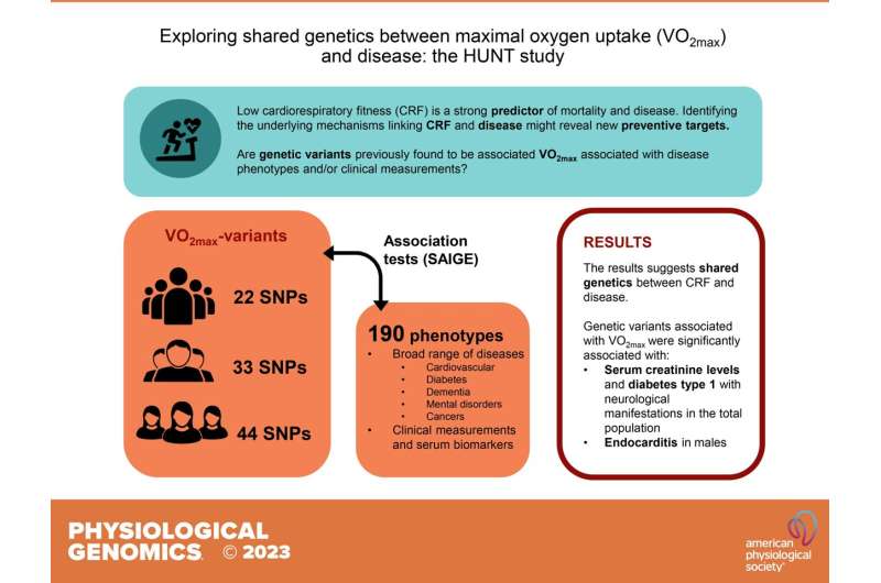 Genetic connection between aerobic fitness and disease is not what you'd expect  