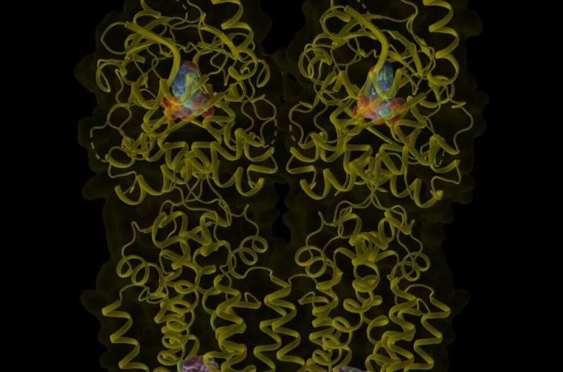 Cryo-EM imaging of STING protein reveals new binding pocket 