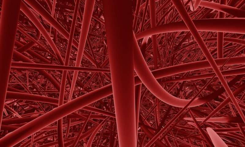 Gene therapy treatment increasing body's signal for new blood vessel growth shows promise