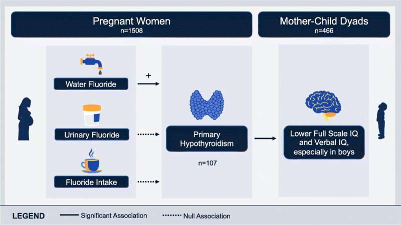 Fluoride exposure associated with hypothyroidism in pregnancy, study finds 