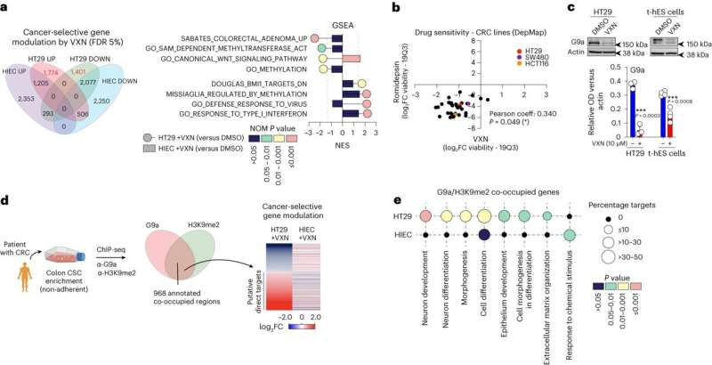 Multi-omic characterization of VXN cancer-selective effect on cell functions. Credit: Nature Cancer (2024). DOI: 10.1038/s43018-024-00727-y