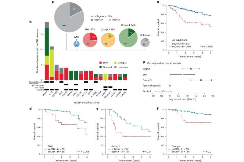 'DNA loops' in pediatric brain tumors double relapse risk, study finds 