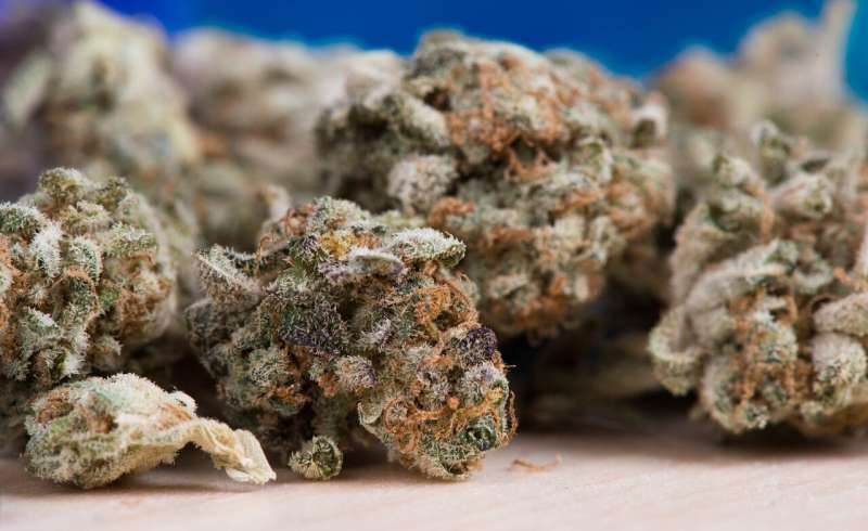 Pharmacy researchers find mom's marijuana use to impair baby's memory 