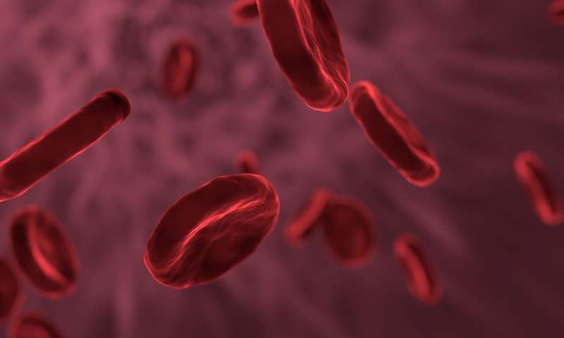 Researchers refine understanding of fetal hemoglobin regulation 