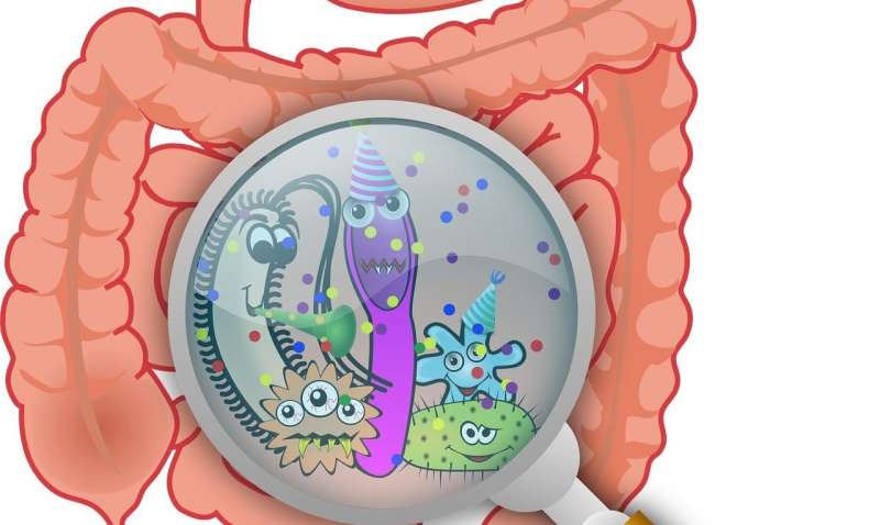 Individualized mosaics of microbial strains transfer from the maternal to the infant gut 