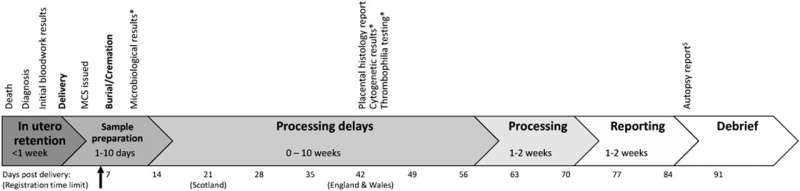 More than 80 percent of UK medical certificates recording stillbirths contain errors, research reveals