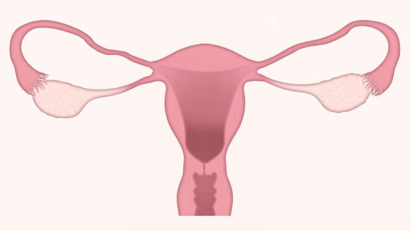 Study: Due to masculine dominance, gynecological science focuses on reproduction rather than women's health 