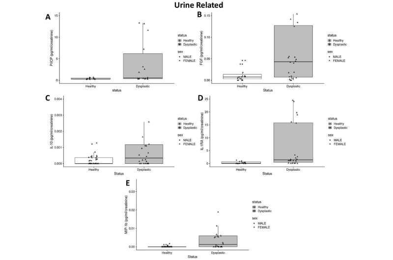 Researchers unlock predictive biomarkers for common hip disorder