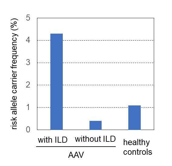 Researchers find genetic association for interstitial lung disease 