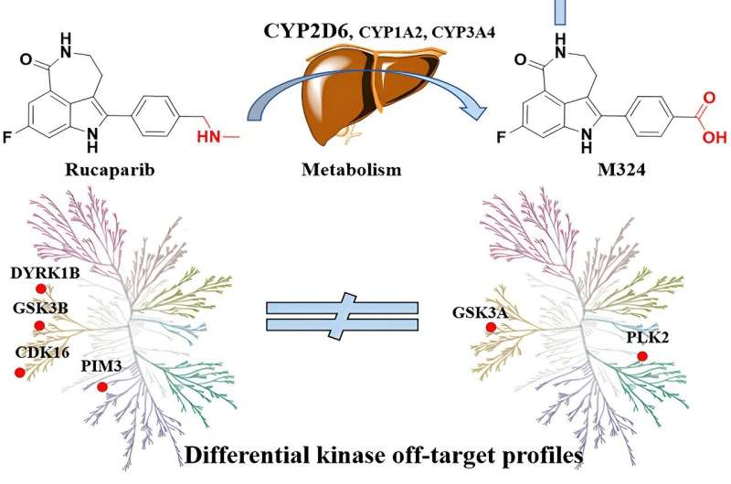 An anticancer drug opens a new path for the treatment of Parkinson's 