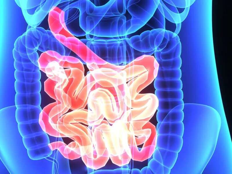 Four studies look at global burden of digestive diseases