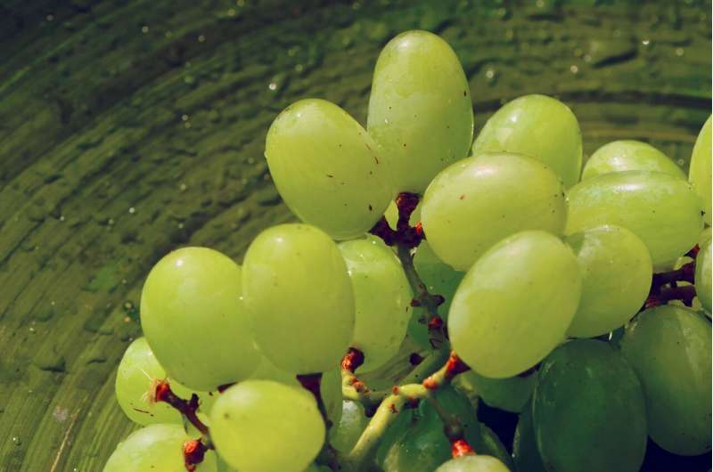 table grapes