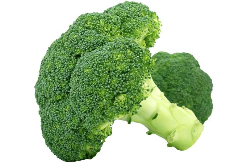 broccoli