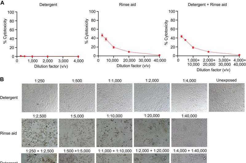 Residue from rinse agents used in commercial dishwashers destroy protective layer in gut