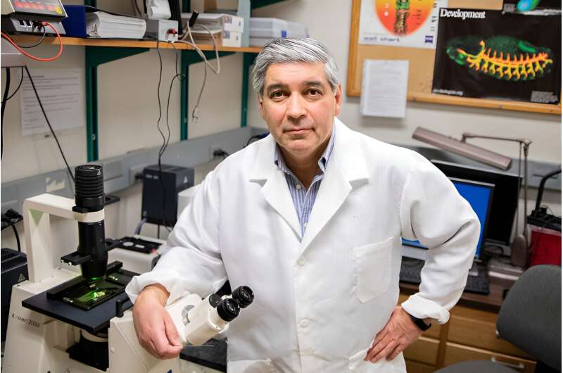 R. Claudio Aguilar, a Purdue University researcher, has developed a patented therapeutic strategy for Lowe syndrome by repurposing two drugs previously approved by the U.S. Food and Drug Administration. Credit: Purdue University College of Science photo/Alisha Referda