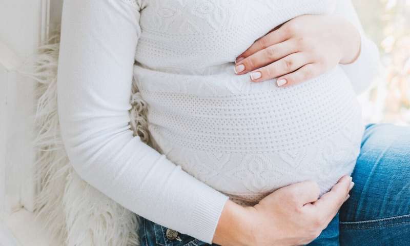 Study identifies cardiovascular risk factors that may lead to pregnancy problems for first-time moms 
