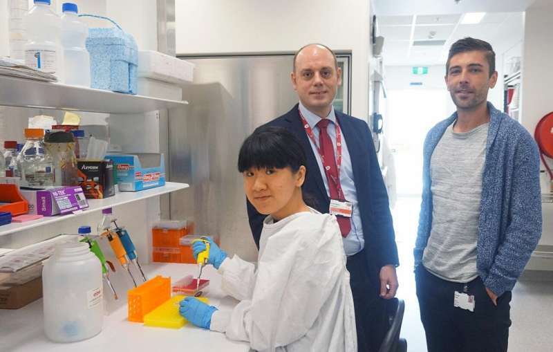 Immune cell discovery could improve the fight against hepatitis B