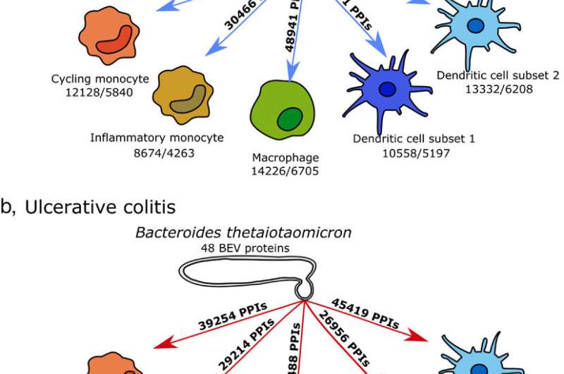 Deciphering gut microbiome 'chatter' to combat IBD 