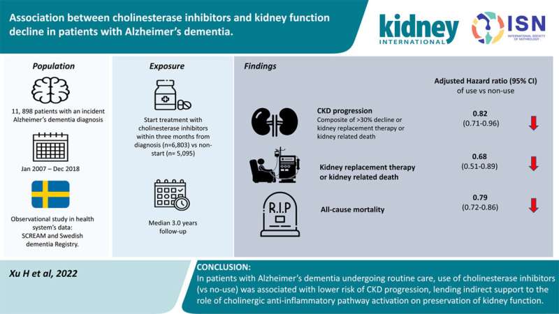 Cholinesterase inhibitors found to help Alzheimer's patients preserve kidney function 