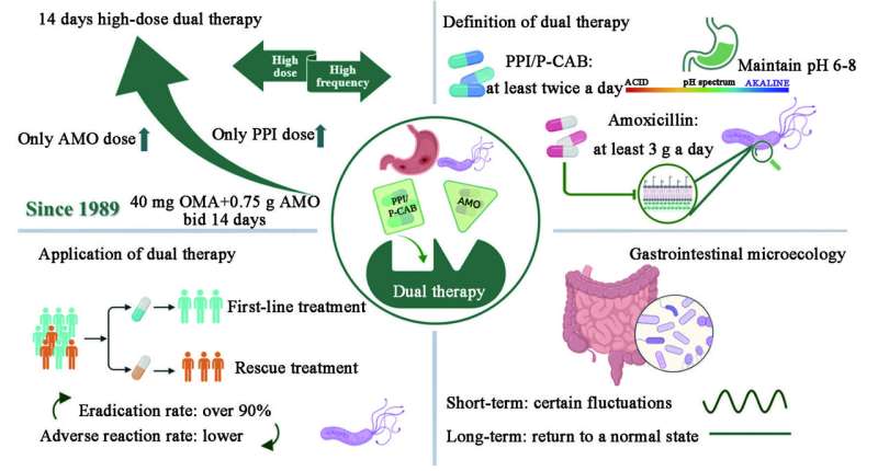 Highlighting dual-therapy-based Helicobacter pylori eradication 