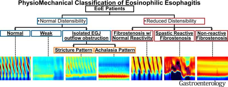 Using physiology to predict treatment response in eosinophilic esophagitis 