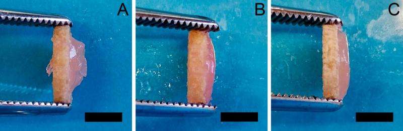 Researchers seek to improve techniques for joint defect treatment