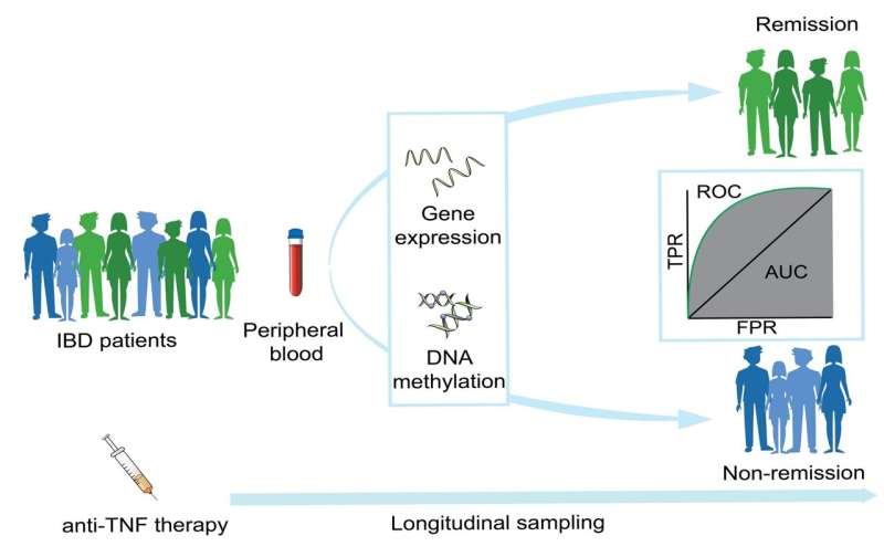 Chronic inflammatory bowel diseases: Predicting the success of biologicals 