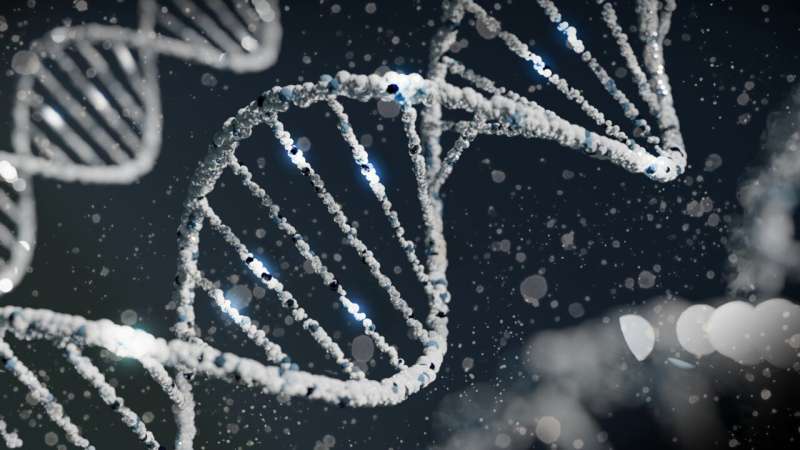 Genetic cause of rare childhood immune disorders discovered