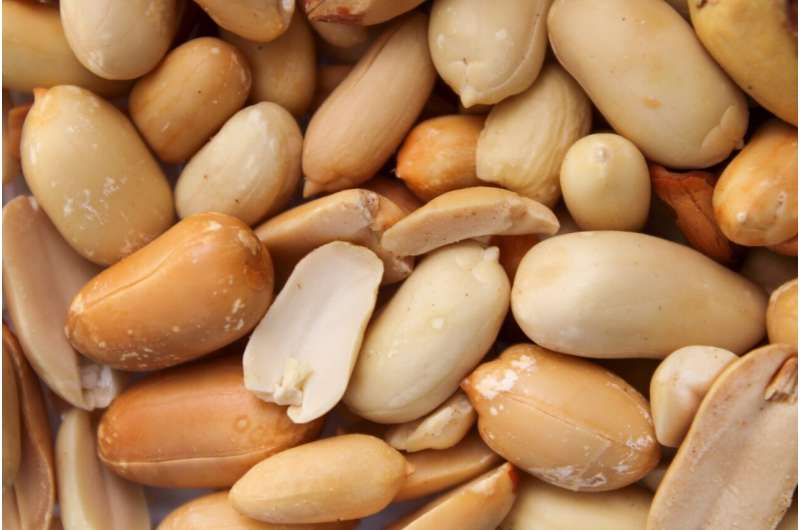 Study finds feeding infants peanut products protects against allergy into adolescence