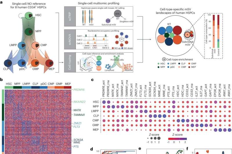 Genetic mosaicism more common than thought