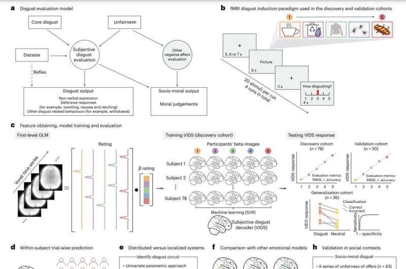 The neural signature of subjective disgust could apply to both sensory and socio-moral experiences