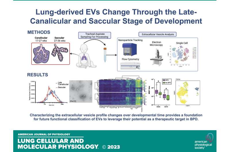 Extracellular vesicles could be a marker for lung disease severity in premature infants