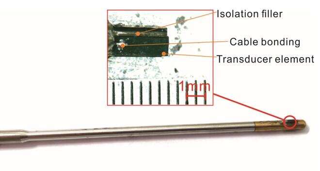 Scientists develop multi-frequency ultrasonic endoscope 