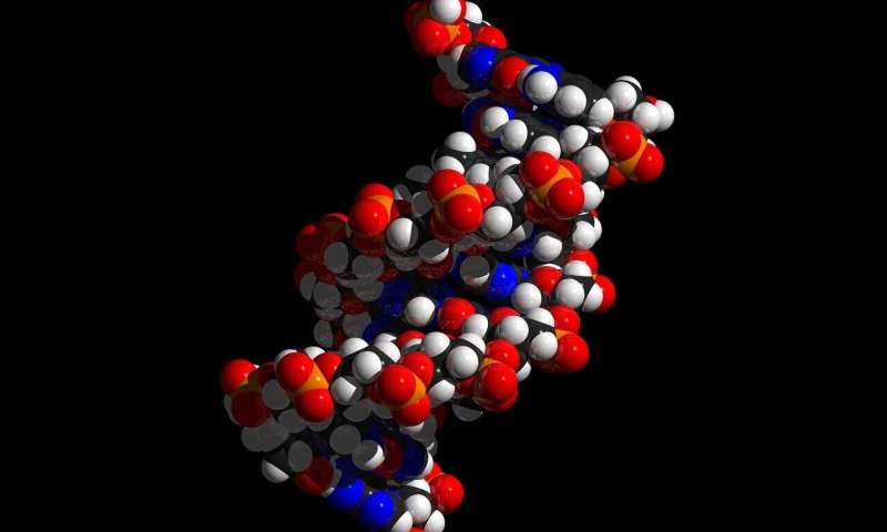 Scientists develop new 'precision medicine' approach to treating damaged DNA in pancreatic cancer 