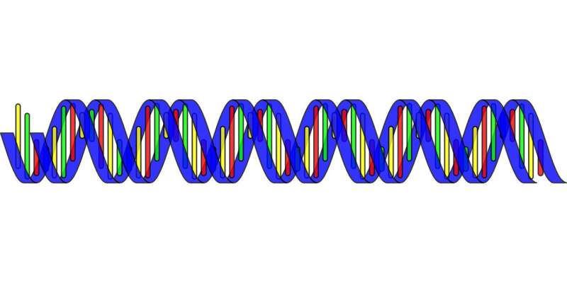 Researchers discover a new cancer-driving mutation in 'dark matter' of the cancer genome 