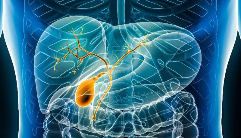 Study shows seladelpar beneficial for patients with primary biliary cholangitis 