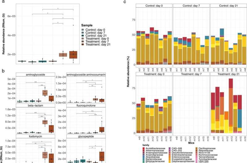 Antibiotics impact gut microbiome and antimicrobial resistance 