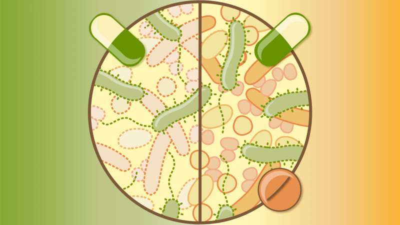 Tackling the collateral damage from antibiotics 