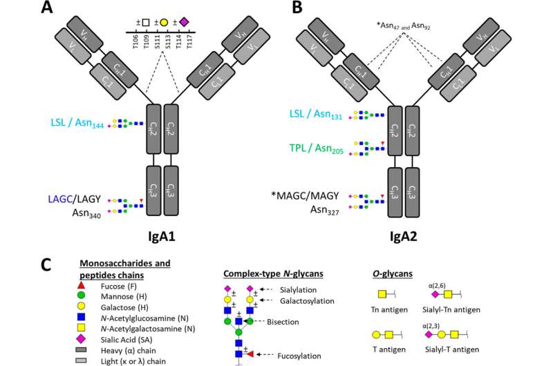 Developing a less invasive test for inflammatory bowel disease 