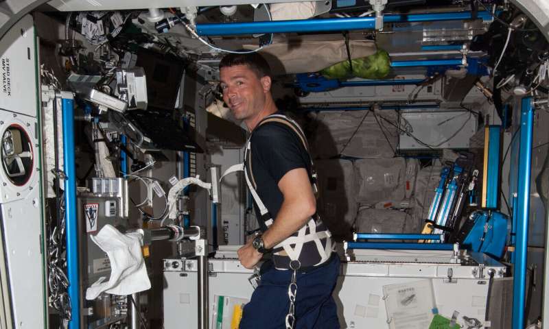 The ways astronauts prep for spaceflight could benefit cancer patients, say researchers 